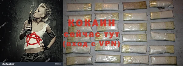 сатива Алзамай
