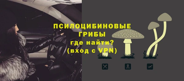 ПСИЛОЦИБИНОВЫЕ ГРИБЫ Алексеевка