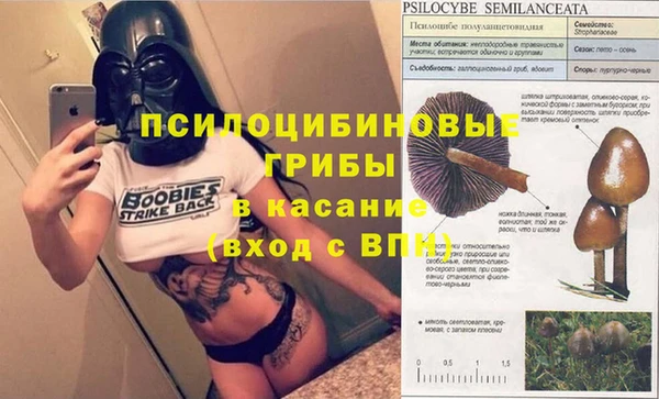 бошки Алексин
