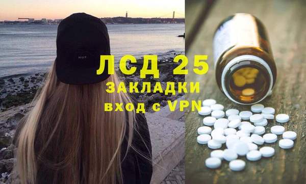 сатива Алзамай