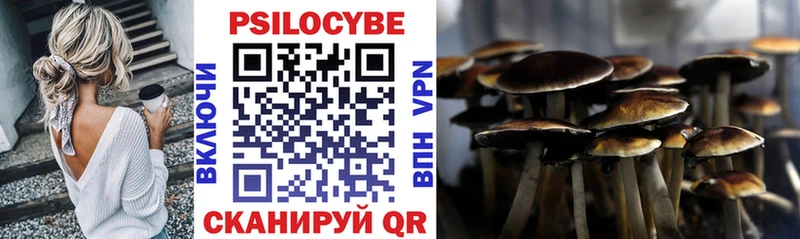 где можно купить   Урай  Галлюциногенные грибы GOLDEN TEACHER 